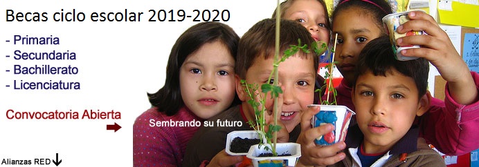 Convocatoria Becas